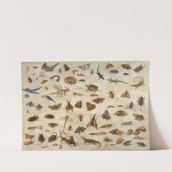 Insects, batrachians, shells and mouses (1673) by Jan Van Kessel The Elder