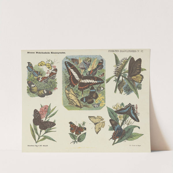 Insekten (dagvlinders) (1875-1919) by Emrik & Binger