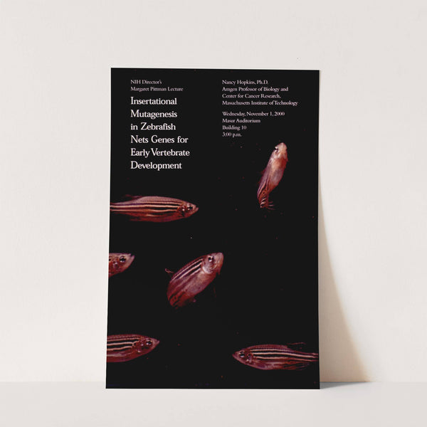 Insertational mutagenesis in zebrafish nets genes for early vertebrate development by National Institutes of Health