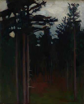 Inside the Forest