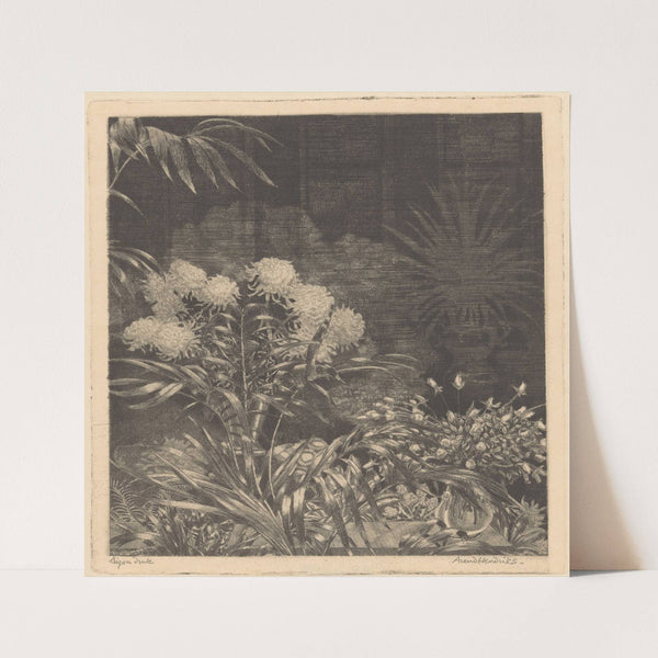 Anatomical image of an ectopic pregnancy. (1672) by Hendrik Bary