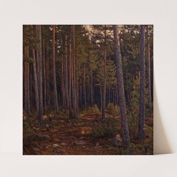 Interior of a Coniferous Forest (1904) by Herman Norrman