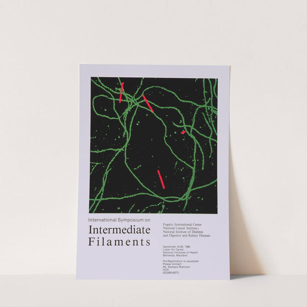 International Symposium on Intermediate Filaments by National Institutes of Health