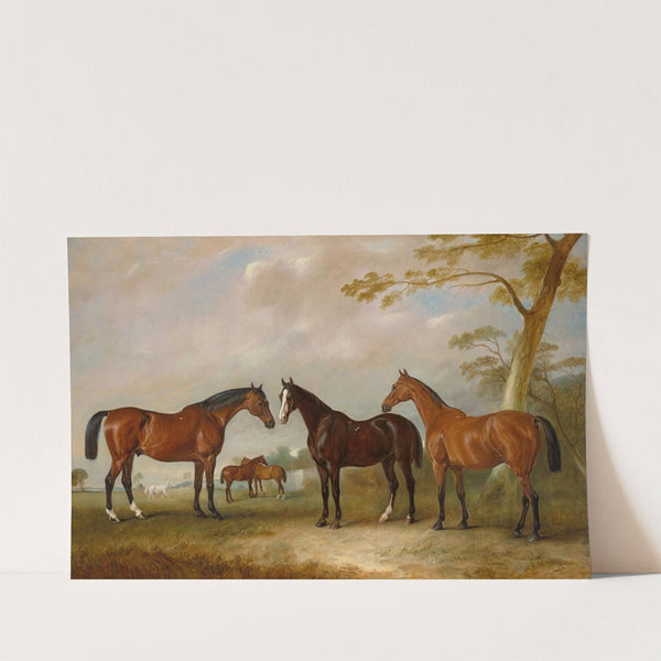 Intrepid, Conqueror and Bay Bolton with Silkman and Darnley beyond in a landscape (1853) by John Ferneley