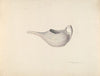 Invalid’s Feeding Cup