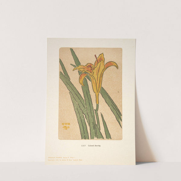 Ipswich Prints; Lily (1901) by Arthur Wesley Dow