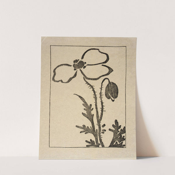 Ipswich Prints; Poppy by Arthur Wesley Dow