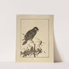 Ipswich Prints; Raven (1980) by Arthur Wesley Dow