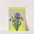 Iris (1937) by Lafayette F. Cargill