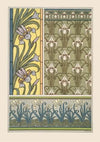 Iris 2