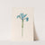 Iris (1692) by Magdelena Rosina Funck