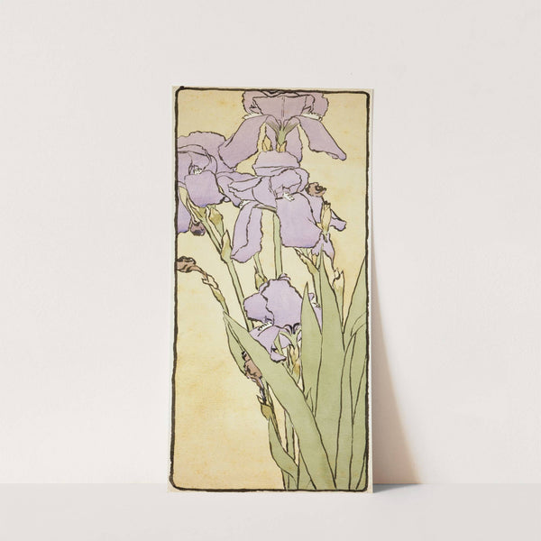 Iris (circa 1915) by Hannah Borger Overbeck