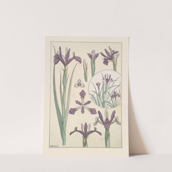 Iris by Maurice Pillard Verneuil