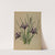 Iris Reticulata (1872-1881) by Arentina Hendrica Arendsen