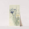 Irises by Ohara Koson