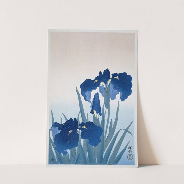 Irises by Ohara Koson