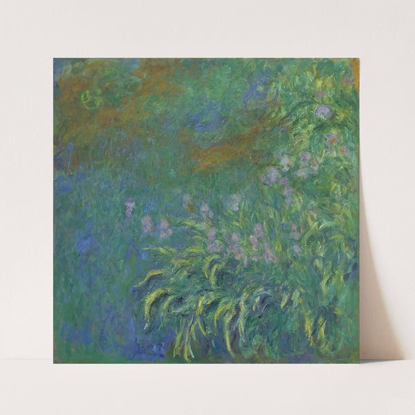 Irises (1914-17) by Claude Monet