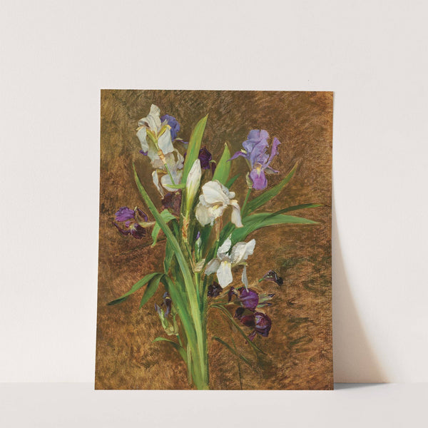 Irises by Rudolf Ribarz