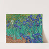 Irises (1889) by Vincent van Gogh