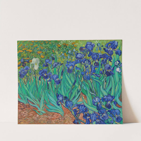 Irises (1889) by Vincent van Gogh