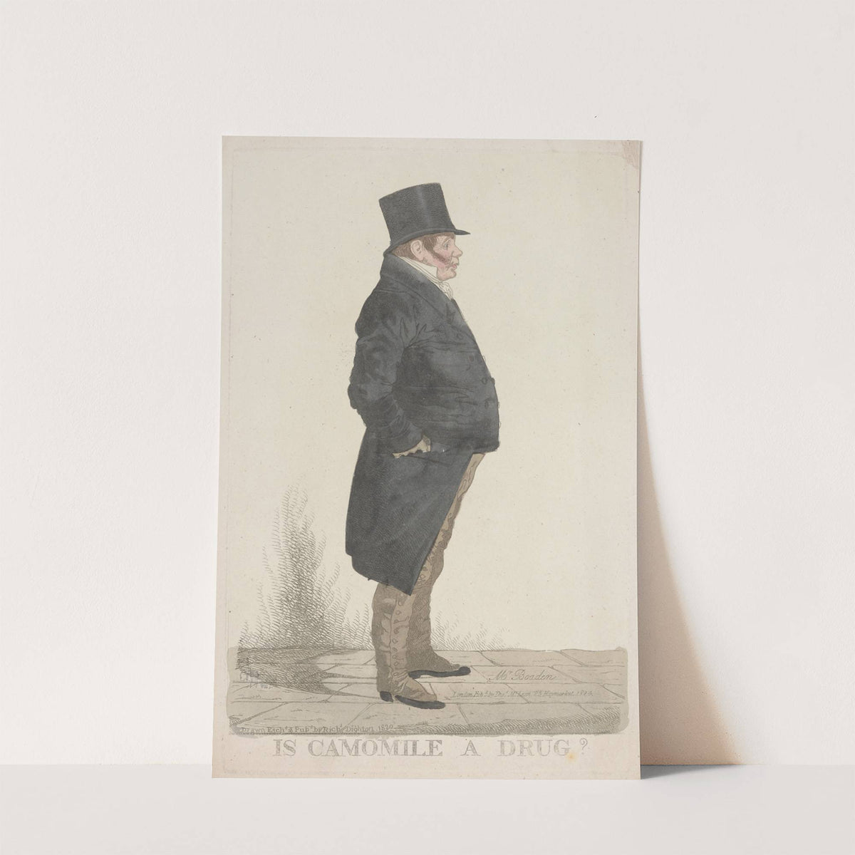 Is camomile a drug (1824) by Richard Dighton