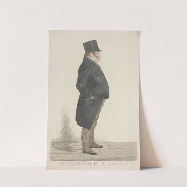 Is camomile a drug (1824) by Richard Dighton