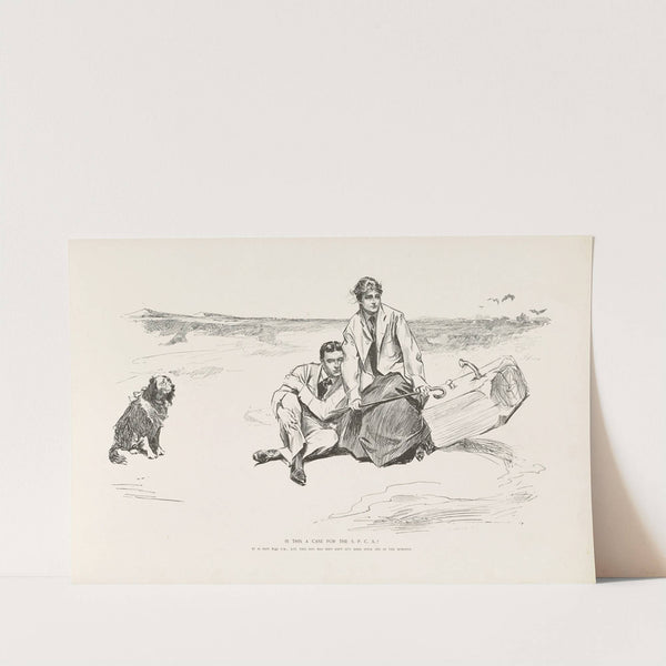 Is this a case for the S.P.C.A (1896) by Charles Dana Gibson