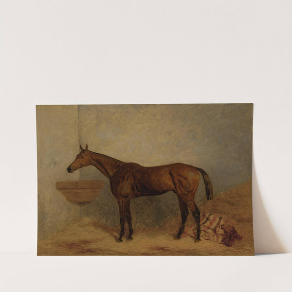 Isonomy, a bay colt in a stall by Harry Hall