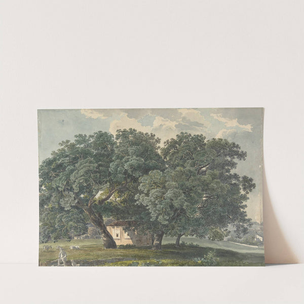 Italian Landscape with Trees by Friedrich Salathé