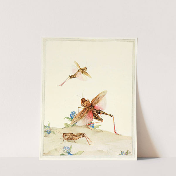 Italian Locusts (1921) by Edward Julius Detmold