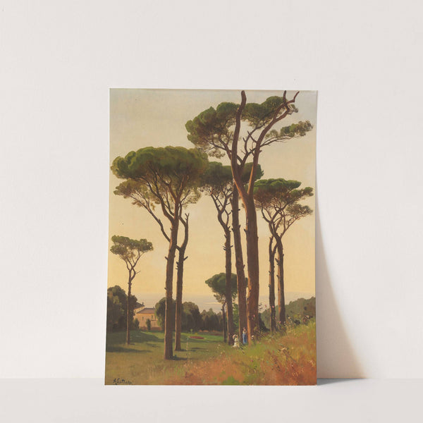 Italienischer Pinienhain am Meer (Ölstudie) by Ascan Lutteroth