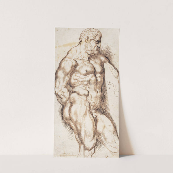 Italienske okser. Popeji by Peter Hansen