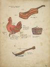 Jack and the Beanstalk: Props 2 (Cello, Hen, Crossbow, Rain Barrel) (1934-1943)