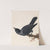 Jackdaw by William Lewin