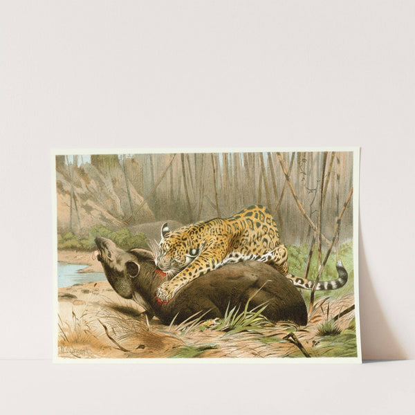 Jaguar killing Tapir (1893-1896) by Wilhelm Kuhnert