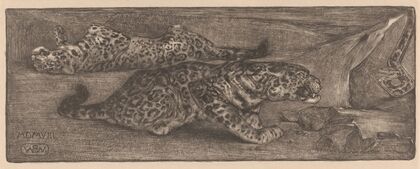Jaguars (1908)