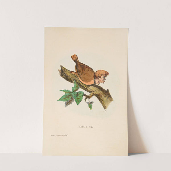 Jail Bird (1851) by Henry Louis Stephens