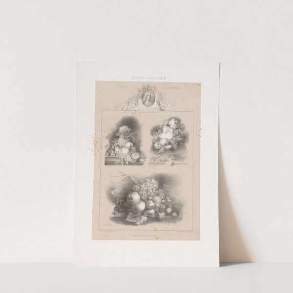 Jan van Huysum – École Hollandaise (1850) by Joseph Rose Lemercier