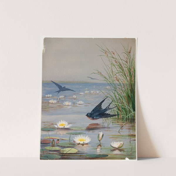 January by Fidelia Bridges