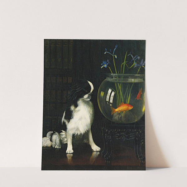 Japanese Chin And Goldfish by Alexander Pope Jr.