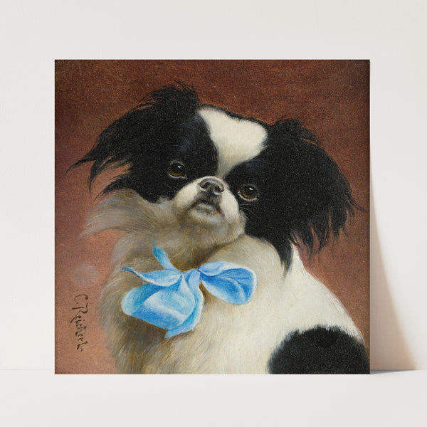 Japanese Chin by Carl Reichert