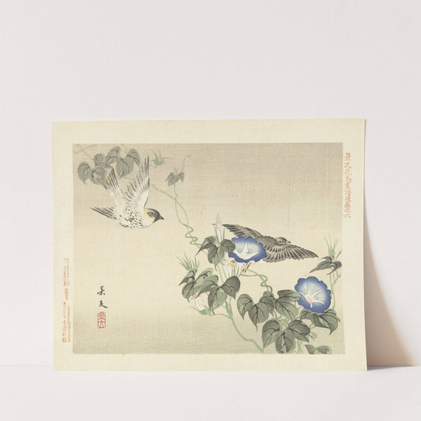 Japanese morning glory and Eurasian siskin (1892) by Matsumura Keibun
