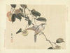 Japanese persimmon and bull-headed shrike (1892)