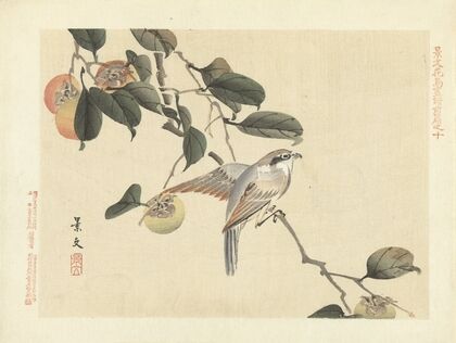 Japanese persimmon and bull-headed shrike (1892)