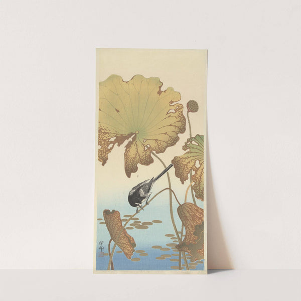 Japanese wagtail on lotus plant by Ohara Koson