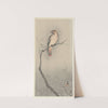 Japanese waxwing on branch by Ohara Koson