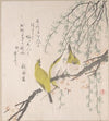 Japanese White-eyes with Plum Tree and Willow, from Spring Rain Surimono Album (Harusame surimono-jō, vol. 3) (ca. 1810)