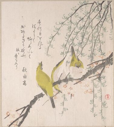 Japanese White-eyes with Plum Tree and Willow, from Spring Rain Surimono Album (Harusame surimono-jō, vol. 3) (ca. 1810)