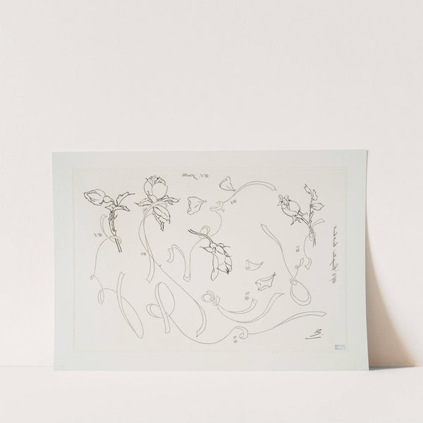 Jatte ; Compotier bas et haut. (1866 - 1878) by Félix Bracquemond