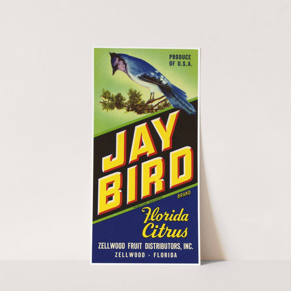 Jay Bird Brand Florida Citrus Label (1930-1950)